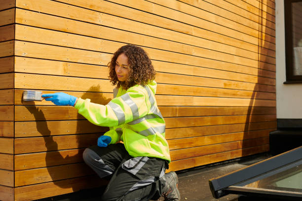 Best Steel Siding Installation  in Hutchinson, MN